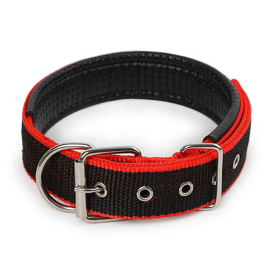 Collier Réglable – Confort & Style pour Chiens de Petite à Moyenne Taille