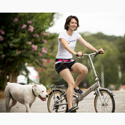 Ceinture Mains Libres pour Promener son Chien - Compatible Toutes Laisse - Squishy Face Studio