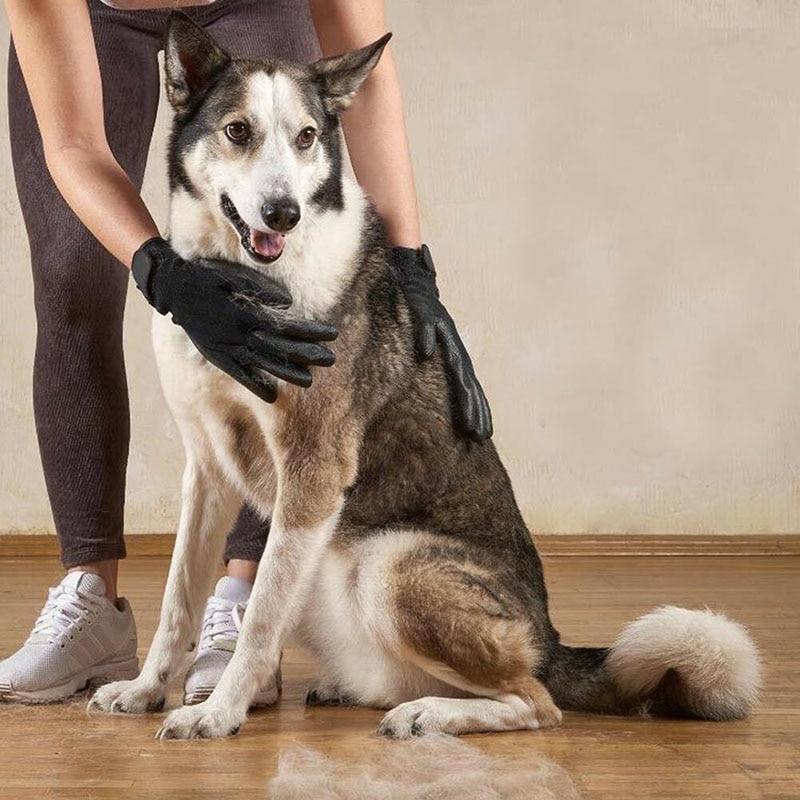 Gants anti-poils pour animaux Ă poils longs