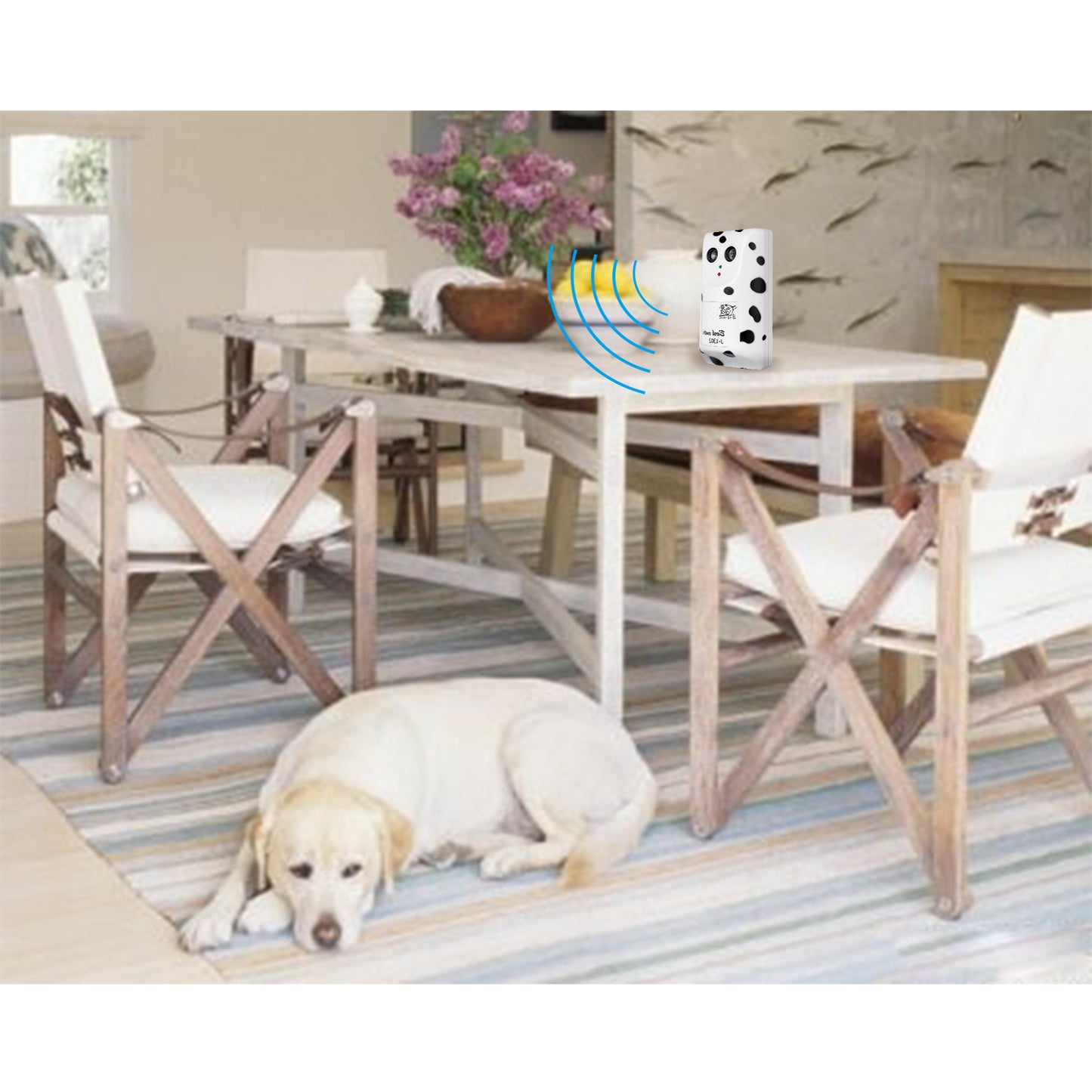 accessoire éducatif pour chien