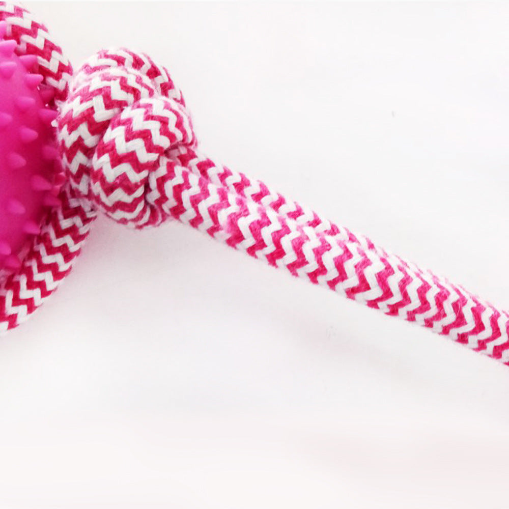 Jouet à mâcher en caoutchouc - Entraînement & jeu | Pour chien | Résistant & ludique