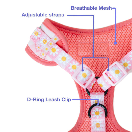 une boucle à dégagement rapide et un anneau en D pour attacher une laisse.