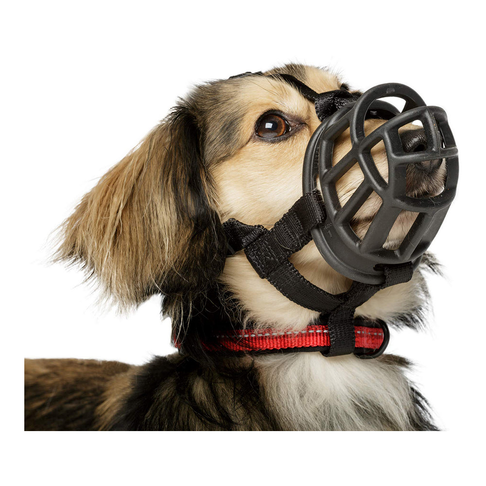 La muselière qui respecte votre chien - Baskerville Ultra - Taille 5