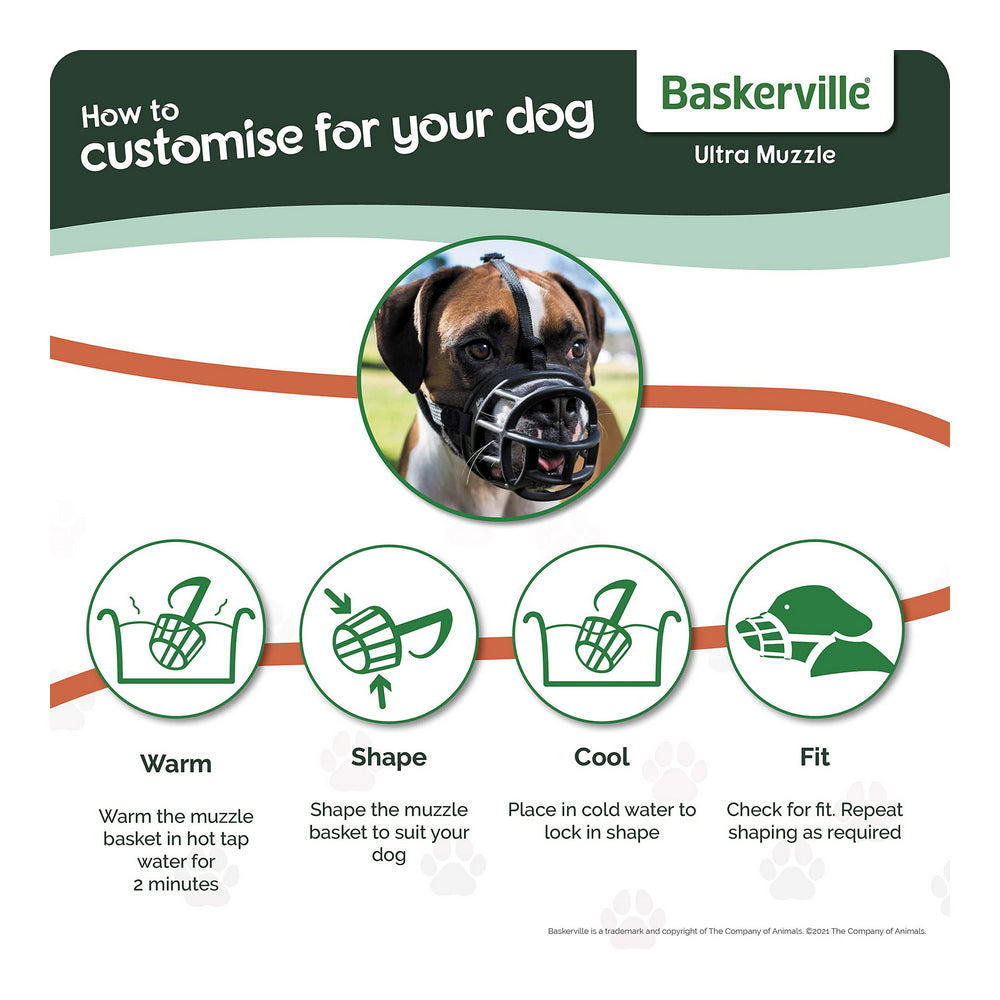 Sécurité et confort pour votre chien