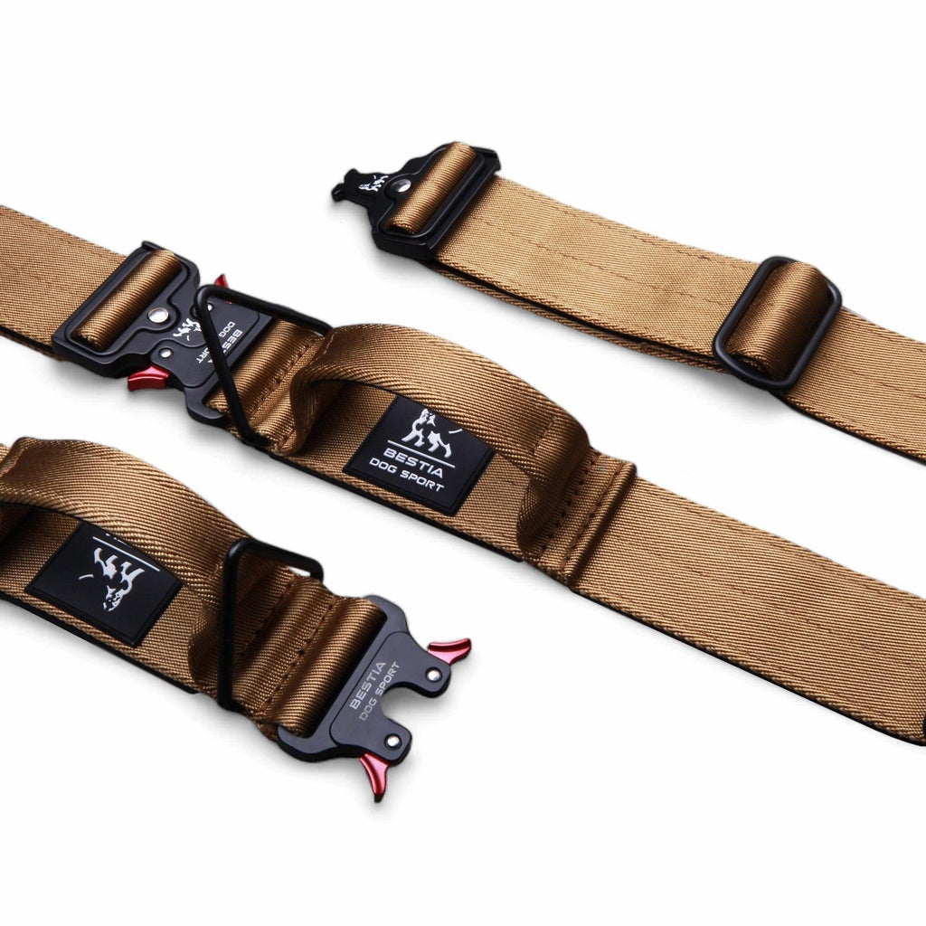 🐕‍🦺 BESTIA Dog Sport “GripPro” Handle Collar - Collier Nylon avec Poignée | Ultra‑Résistant pour Chiens Puissants | Fermeture Rapide | Outdoor & Training
