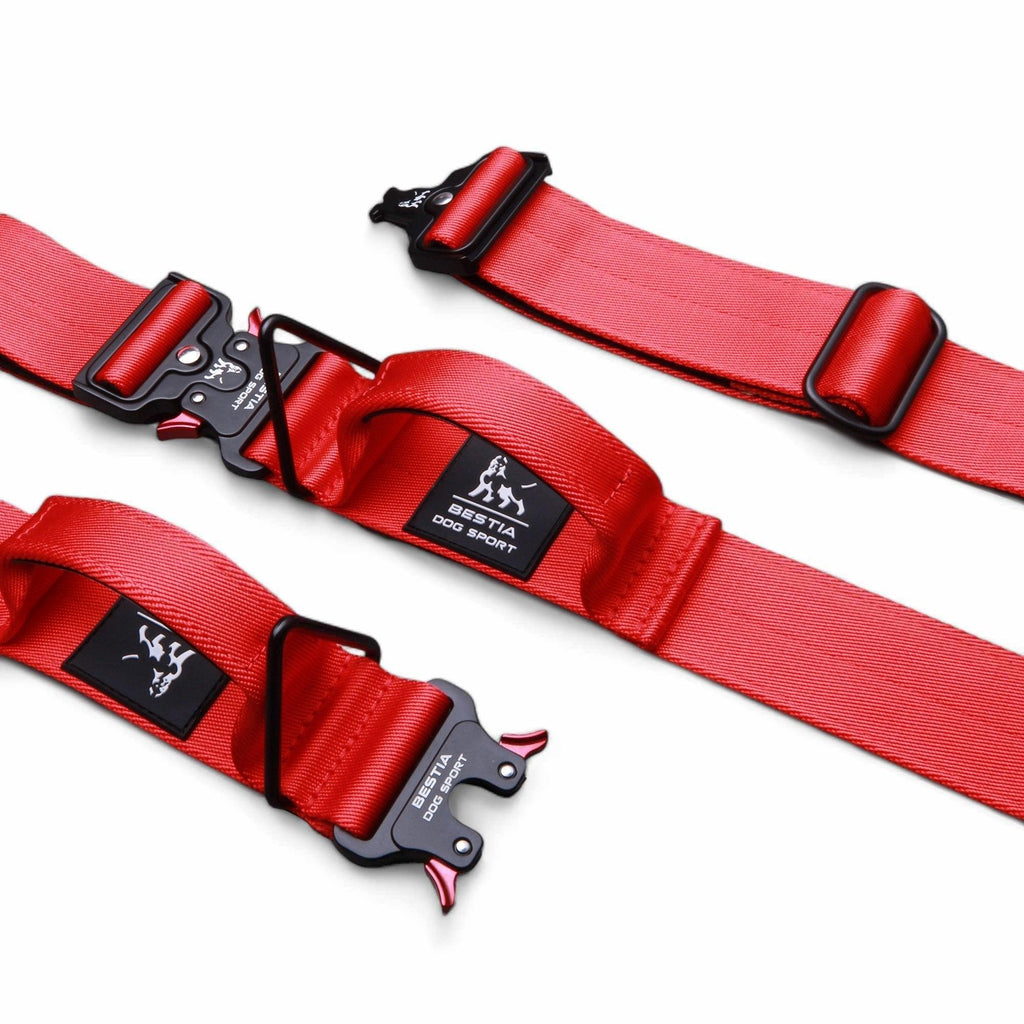 🐕‍🦺 BESTIA Dog Sport “GripPro” Handle Collar - Collier Nylon avec Poignée | Ultra‑Résistant pour Chiens Puissants | Fermeture Rapide | Outdoor & Training