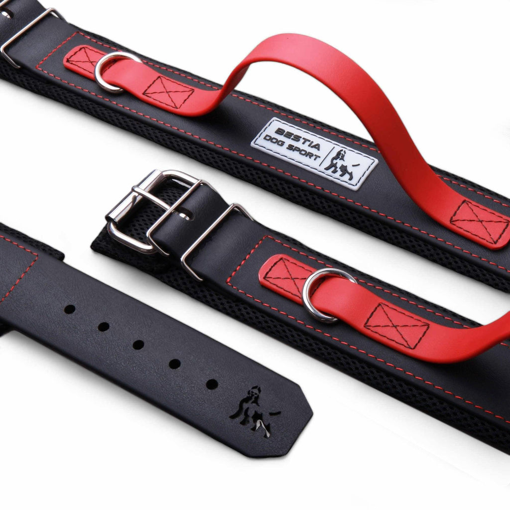 Dog 🐶 BESTIA DOG SPORT - Red Handle Collar Collier Heavy‑Duty avec Poignée Rouge - Acier Inox & Coussin Confort