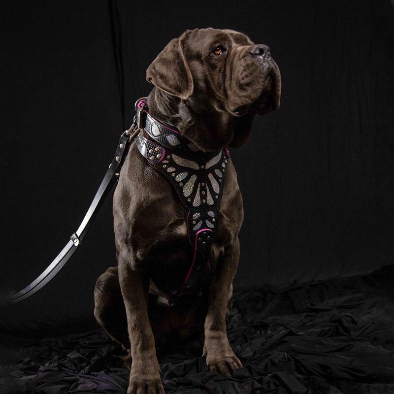 ✨ BESTIA “Ariel” Collier en Cuir - Collier Premium Noir à Paillettes pour Chiens Élégants | Confort Rembourré | Fait Main en Europe