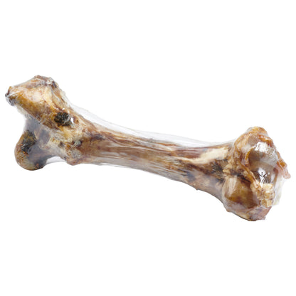 os-femur-geant-chien-nutritif.jpg