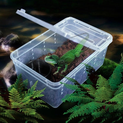 Transparent Reptile Haven: The Perfect Enclosure For Your Cold-Blooded