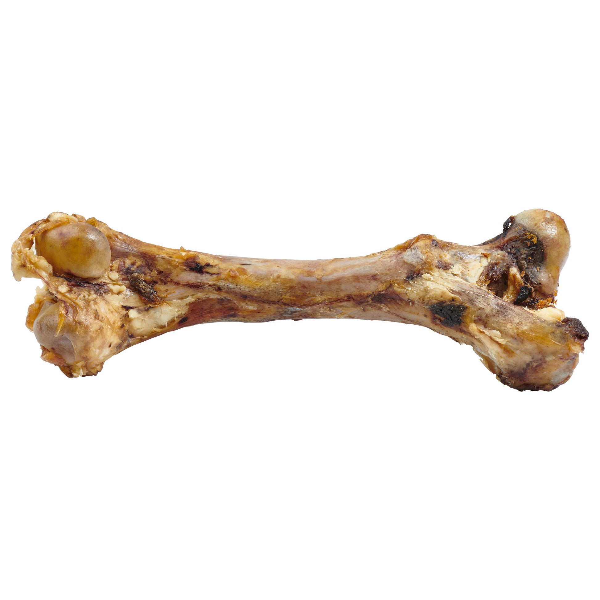 os-femur-geant-chien-nutritif.jpg