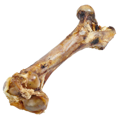 os-femur-geant-chien-nutritif.jpg