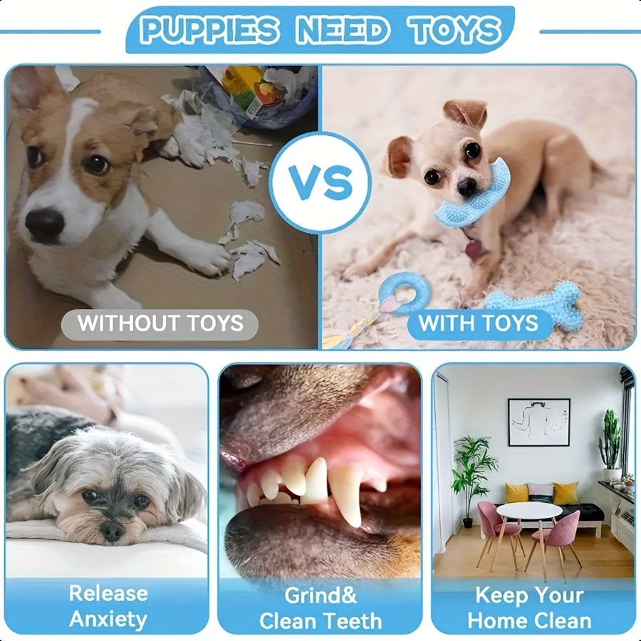 Dog 🐶 Series Dog Chew Toy Set - 16pcs (Jouets à Mâcher pour Petits Chiens)