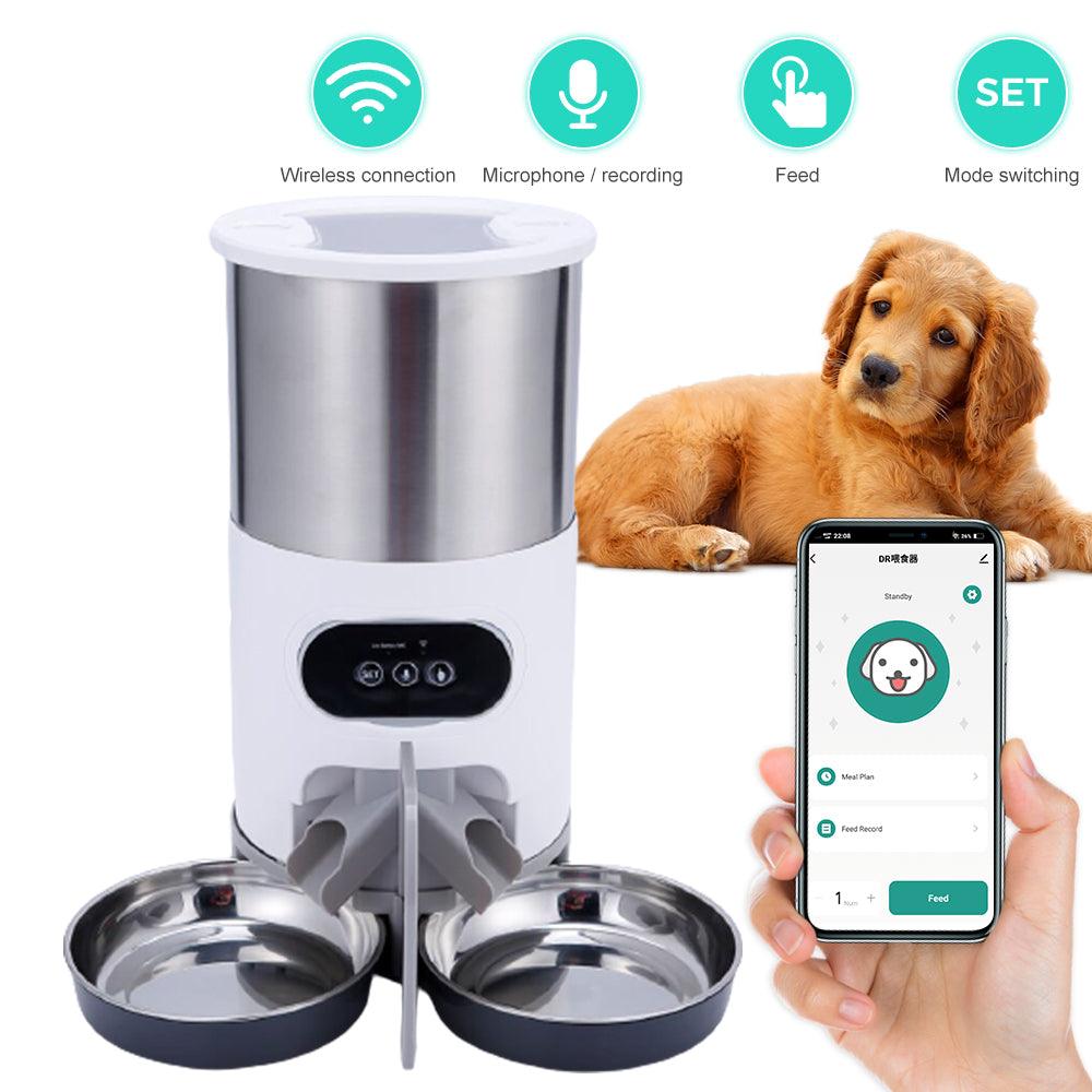 distributeur automatique pour chien