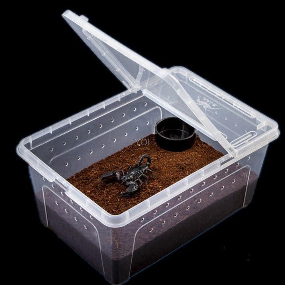 terrarium-portable-transparent-reptile.jpg