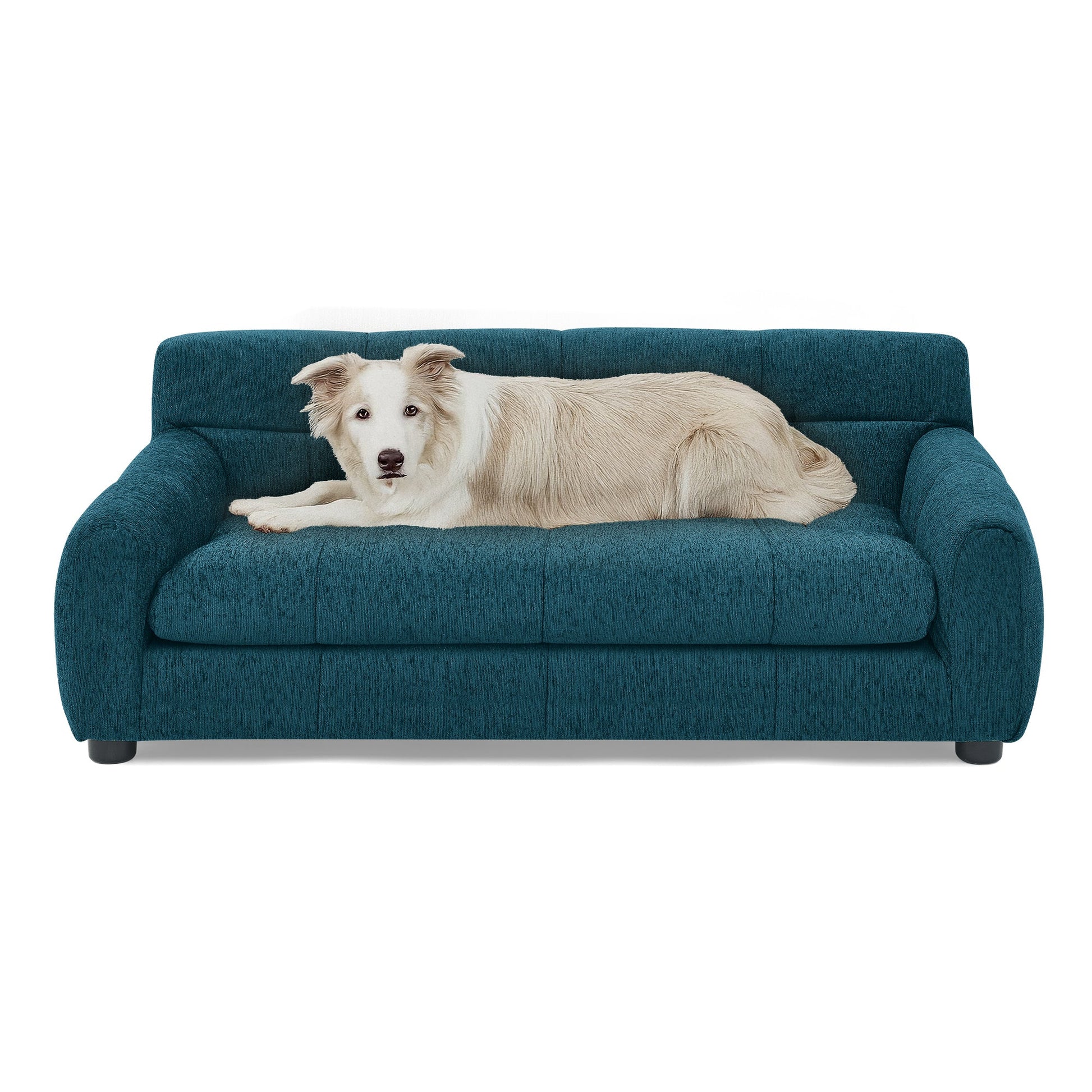 canape-chien-grand-taille-bleu-lin.jpg