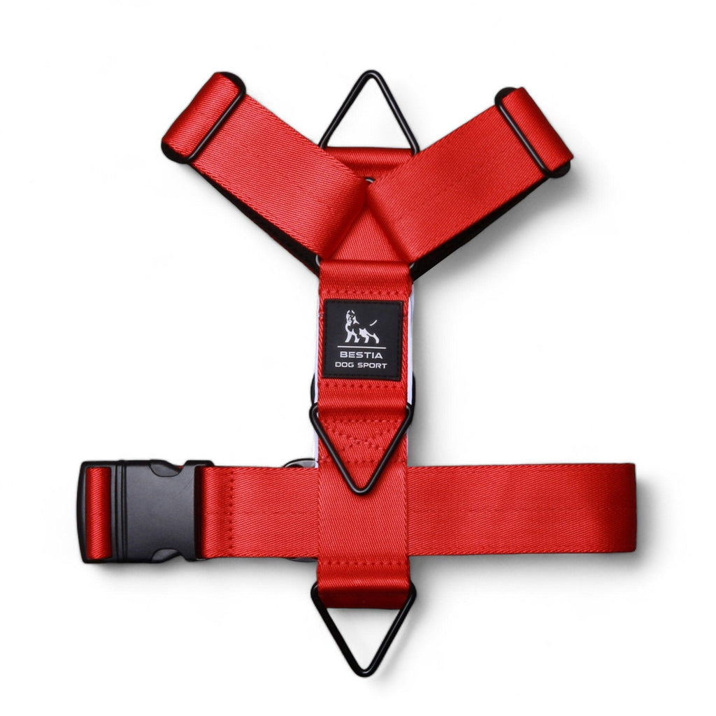 Tactical Premium 🐺 BESTIA DOG SPORT - GripPro Basic Harness (Harnais d’Entraînement)