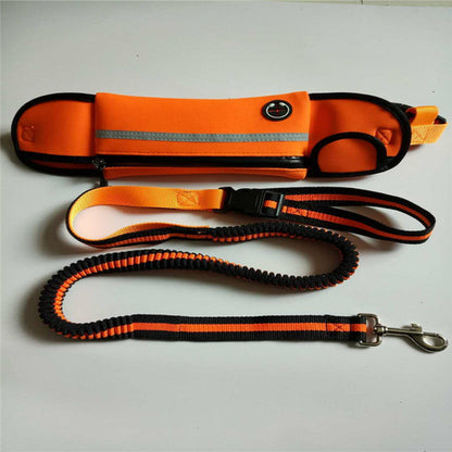 Ceinture de Course pour Chien avec Laisse Élastique - Sac Banane Waterproof & Réfléchissant - Mains Libres pour Jogging et Randonnée