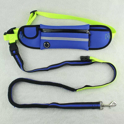 Ceinture de Course pour Chien avec Laisse Élastique - Sac Banane Waterproof & Réfléchissant - Mains Libres pour Jogging et Randonnée