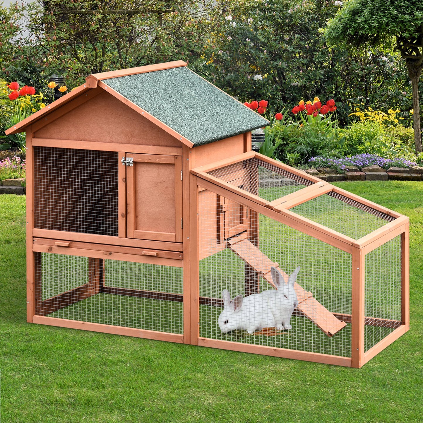 maison pour lapin avec rampe et enclos