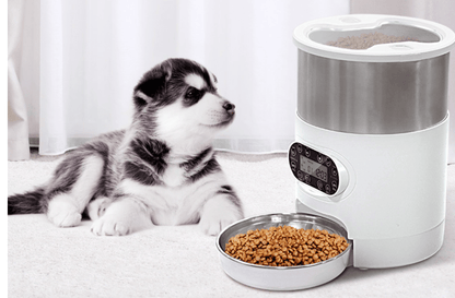 distributeur automatique pour chien