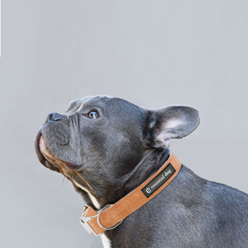 Organic Hemp & Cotton Dog Collar - Orange Burst • Collier Naturel en Chanvre & Coton Bio