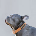 Organic Hemp & Cotton Dog Collar - Orange Burst • Collier Naturel en Chanvre & Coton Bio