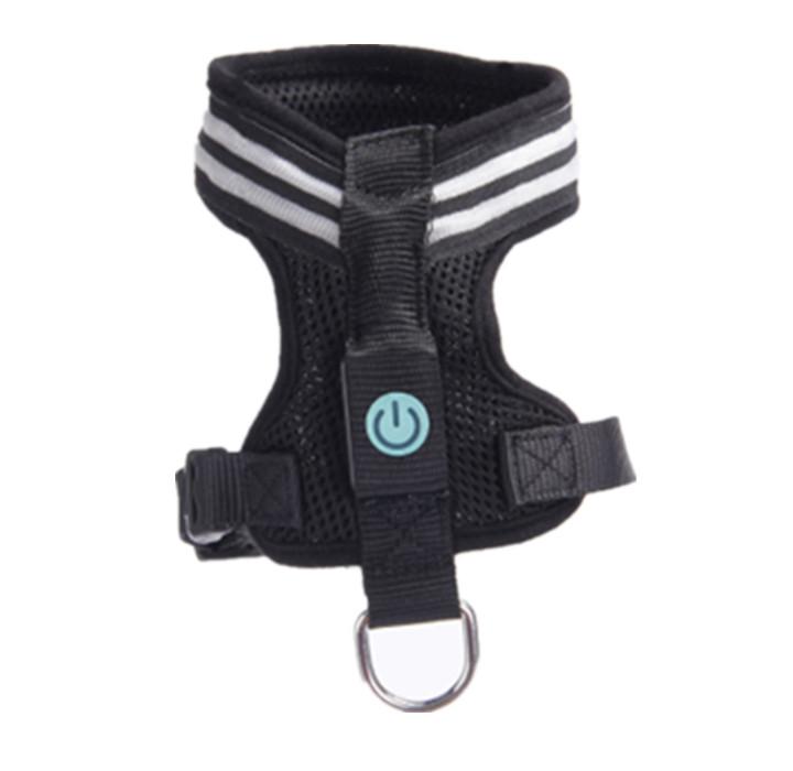 Harnais lumineux - Pour des balades sereines et sécurisées