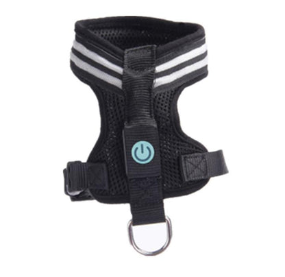 Harnais lumineux - Pour des balades sereines et sécurisées