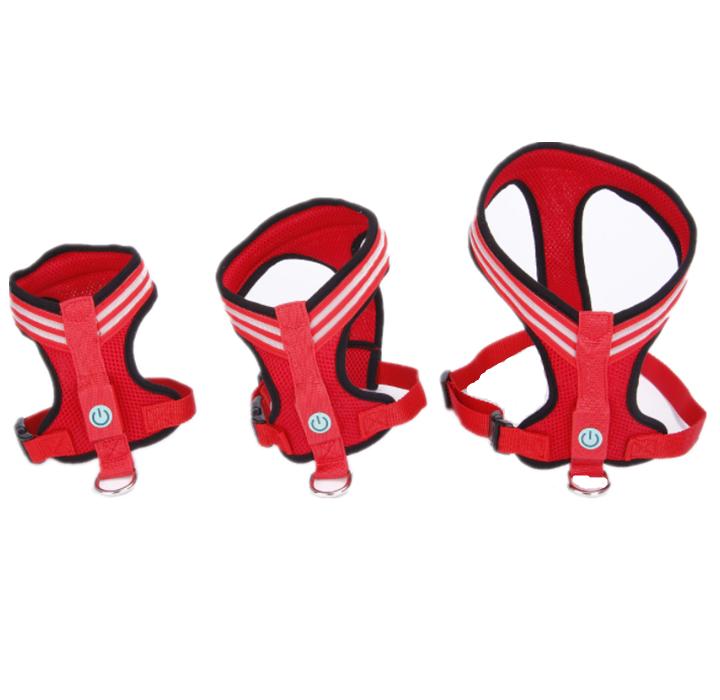 Harnais lumineux - Pour des balades sereines et sécurisées