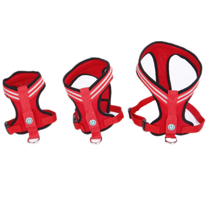 Harnais lumineux - Pour des balades sereines et sécurisées