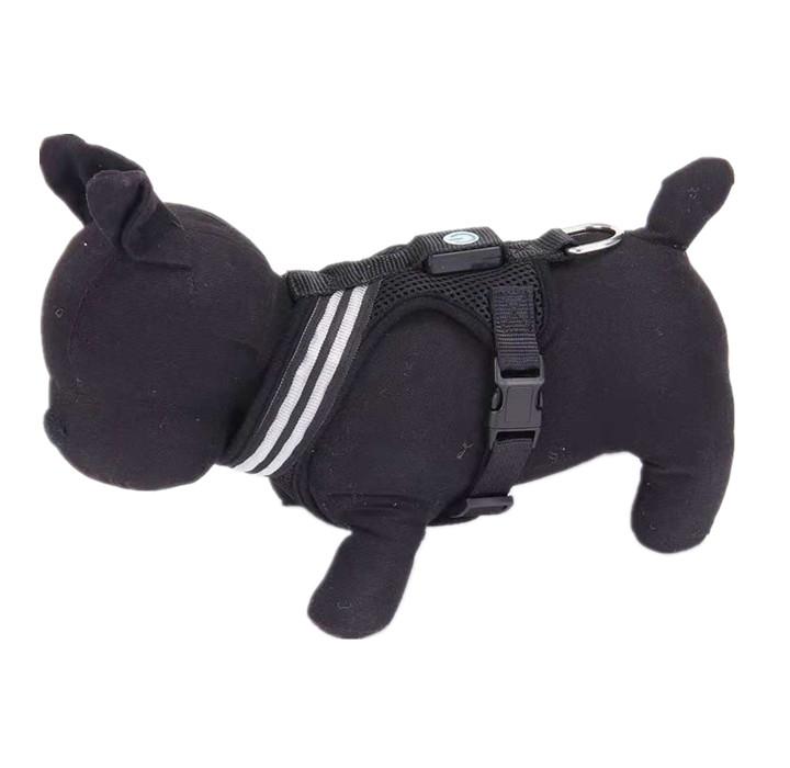 Harnais lumineux - Pour des balades sereines et sécurisées