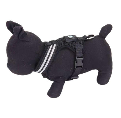 Harnais lumineux - Pour des balades sereines et sécurisées