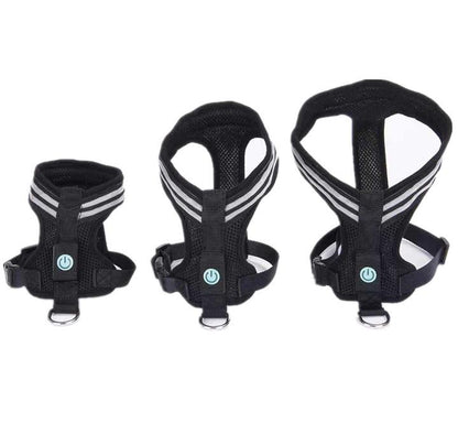 Harnais lumineux - Pour des balades sereines et sécurisées