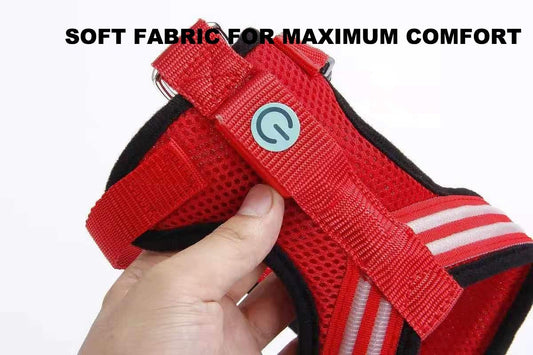 Harnais lumineux - Pour des balades sereines et sécurisées