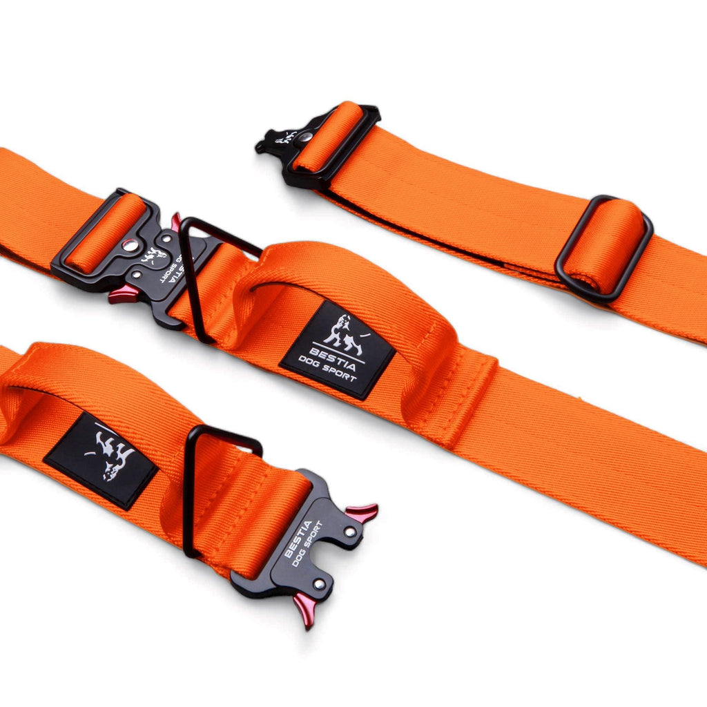 🐕‍🦺 BESTIA Dog Sport “GripPro” Handle Collar - Collier Nylon avec Poignée | Ultra‑Résistant pour Chiens Puissants | Fermeture Rapide | Outdoor & Training