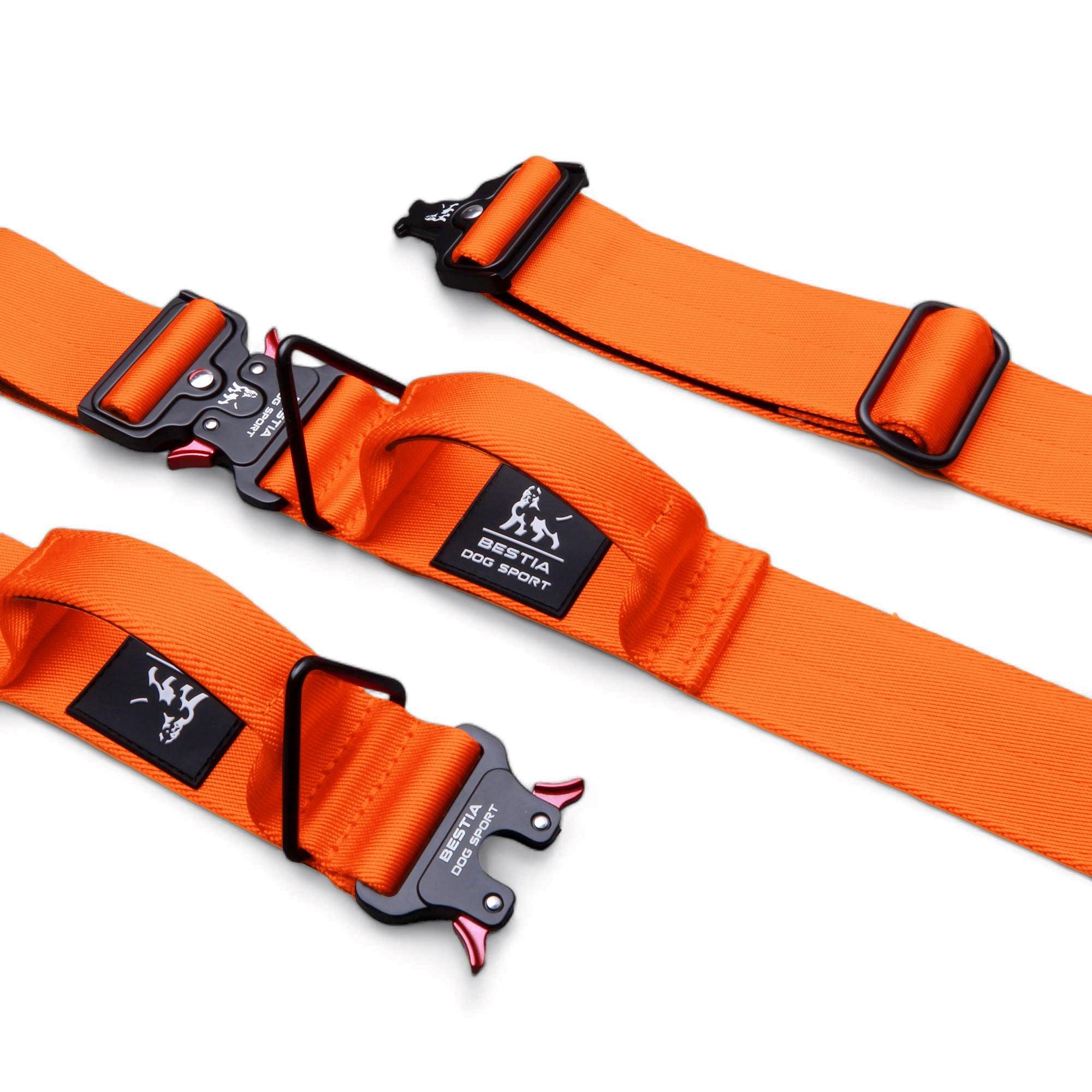 🐕‍🦺 BESTIA Dog Sport “GripPro” Handle Collar - Collier Nylon avec Poignée | Ultra‑Résistant pour Chiens Puissants | Fermeture Rapide | Outdoor & Training