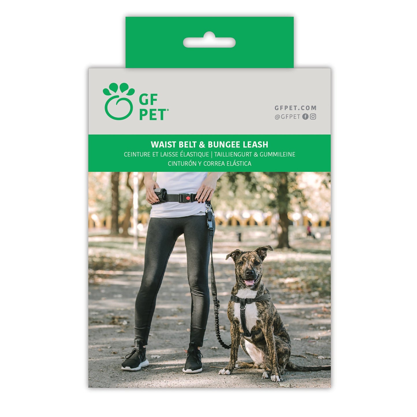 Ceinture de taille + laisse bungee - Pour courir avec son chien - Idéale pour sport et promenade