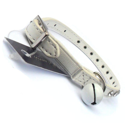 Un collier qui allie style félin, sécurité intelligente et respect de la biodiversité.  