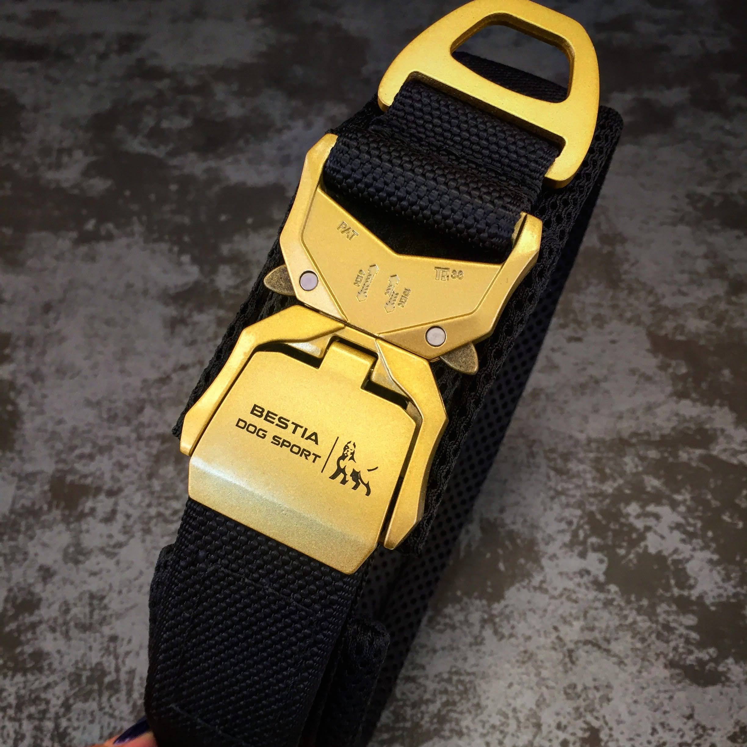 Bestia Dog Sport 🐺 FAST RELEASE COLLAR - Black & Gold Edition