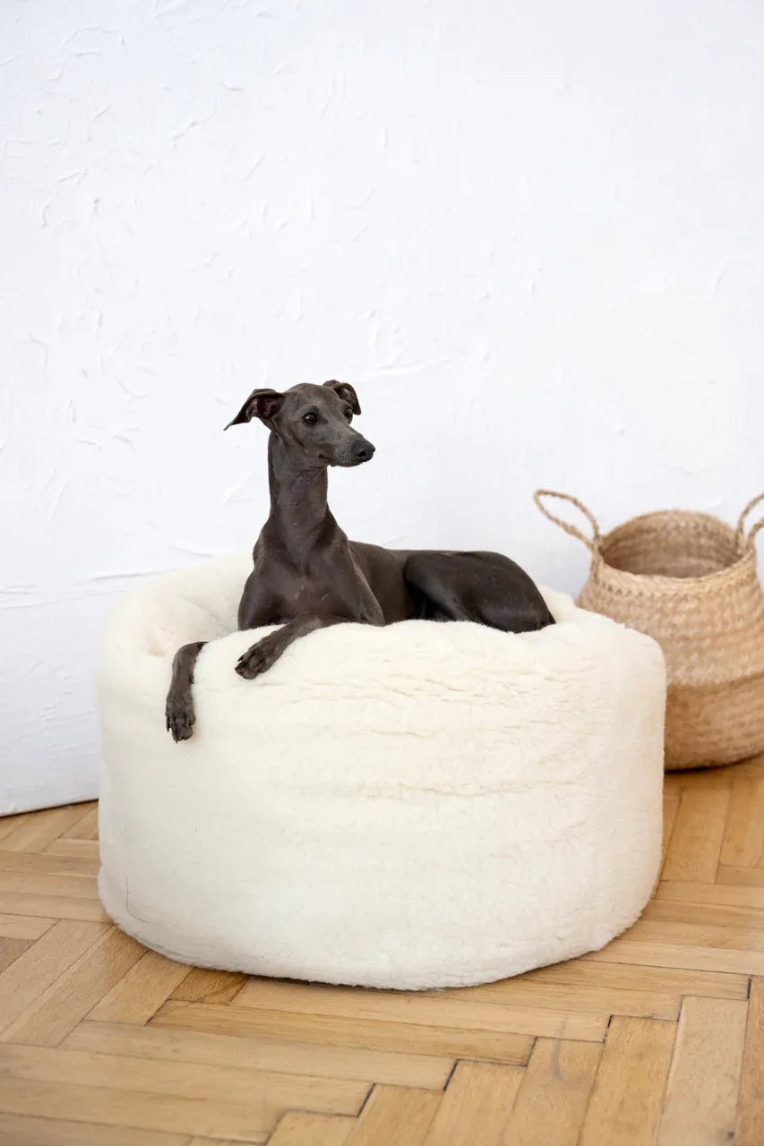 🐾 Oval Natural Wool Pet Bed - White | Panier Ovale en Laine Naturelle (Artisanal & Éco‑Responsable)