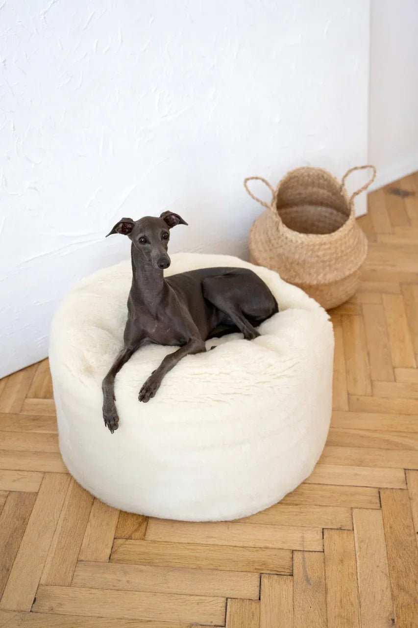 🐾 Oval Natural Wool Pet Bed - White | Panier Ovale en Laine Naturelle (Artisanal & Éco‑Responsable)