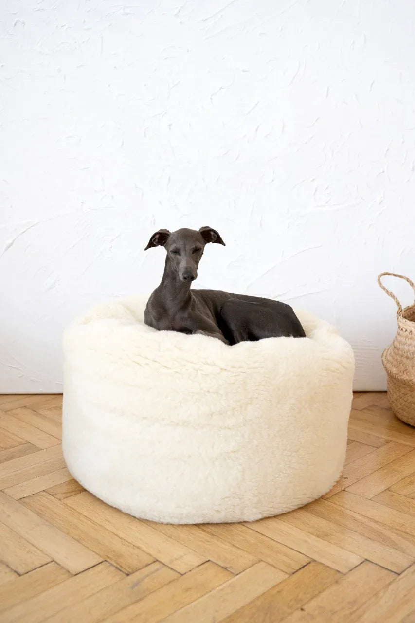 🐾 Oval Natural Wool Pet Bed - White | Panier Ovale en Laine Naturelle (Artisanal & Éco‑Responsable)