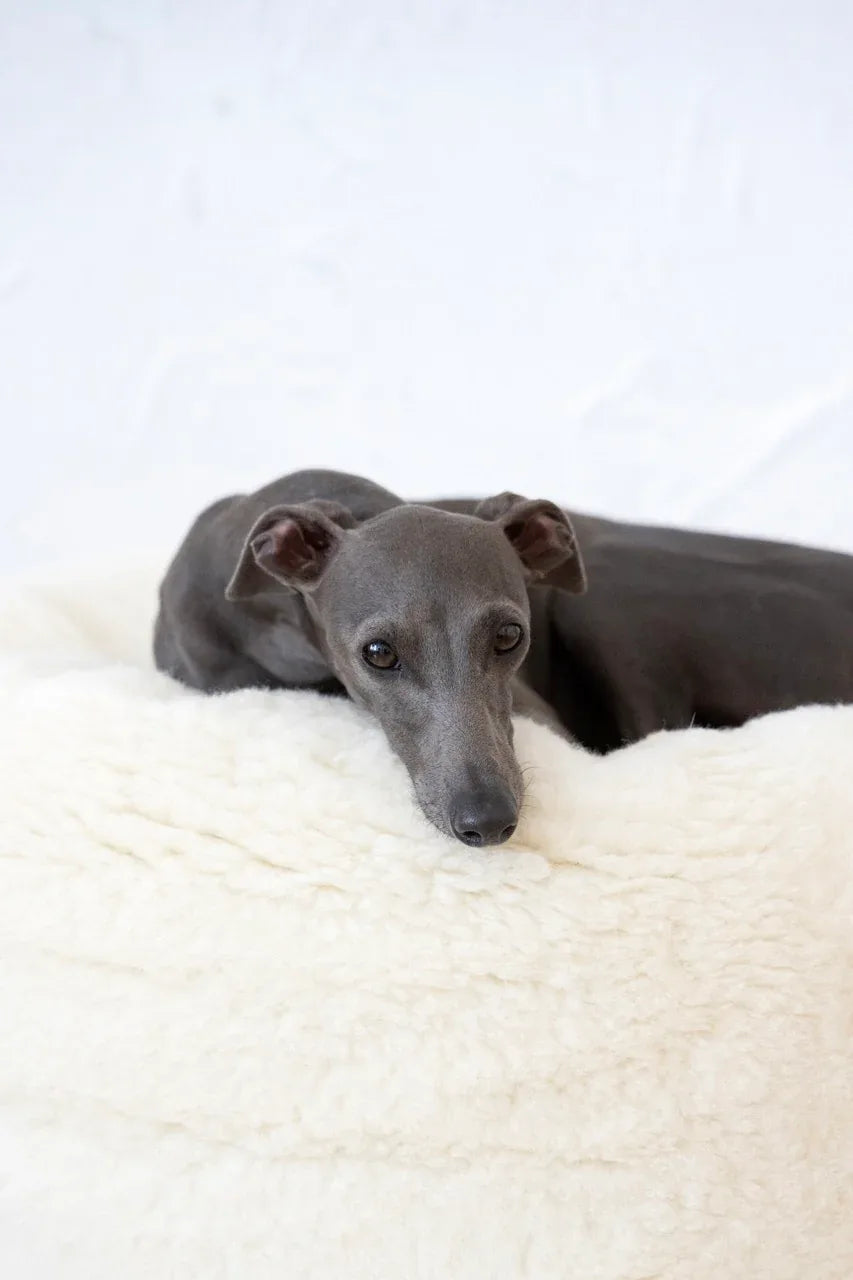 🐾 Oval Natural Wool Pet Bed - White | Panier Ovale en Laine Naturelle (Artisanal & Éco‑Responsable)
