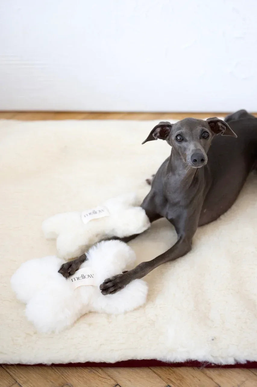 🦴✨ Natural Sheepskin Dog Toy - Bone (White)