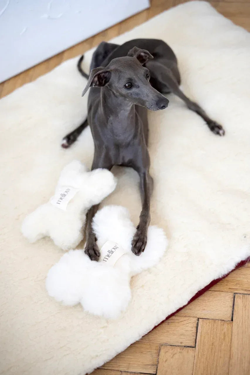 🦴✨ Natural Sheepskin Dog Toy - Bone (White)