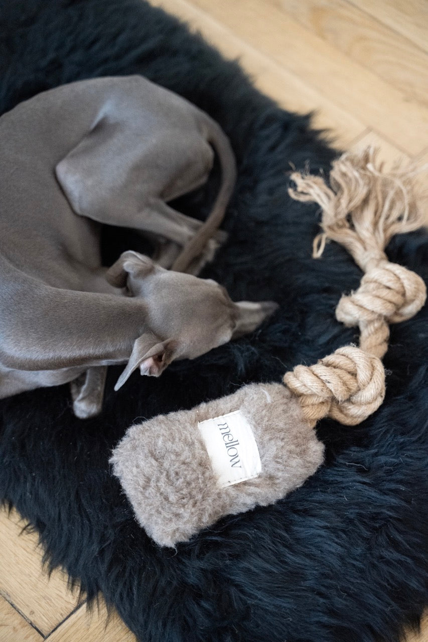 Naturel/Artisanal 🐶 Natural Woolen Dog Tug Toy - Beige (Jouet à Tirer 100 % Naturel)
