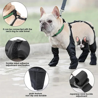 Chaussures Imperméables pour Chiens - Anti‑Dérapantes & Ajustables - 4 Bottines - Tailles S/M/L