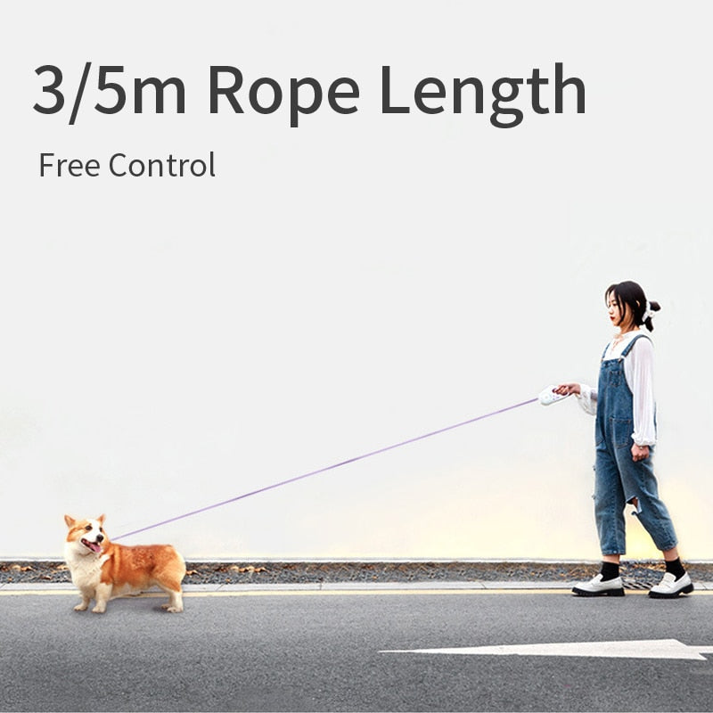 laisse pour chien 3M ou 5M avec poignée ergonomique et éclairage RGB