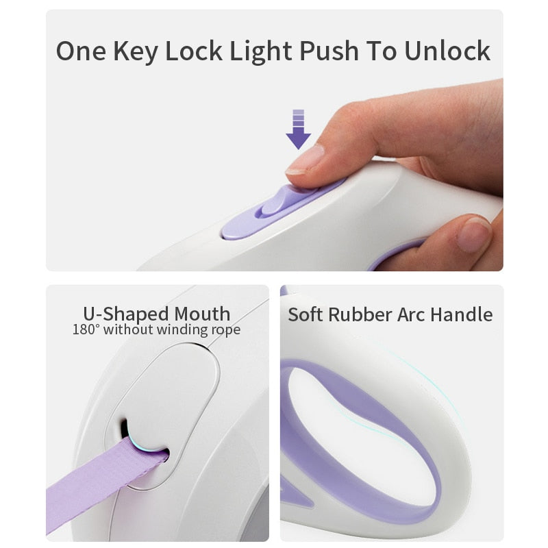 laisse avec lumière pour promenade nocturne